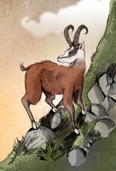 File:Dahu by Philippe Semeria.jpg