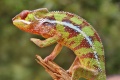 Thumbnail for version as of 15:24, 17 April 2014