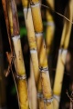 Thumbnail for version as of 15:08, 28 February 2013