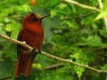 Thumbnail for version as of 11:03, 28 May 2013