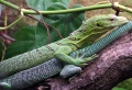 Thumbnail for version as of 00:18, 4 May 2010