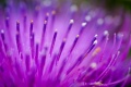 Thumbnail for version as of 14:54, 23 August 2013