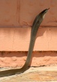 Thumbnail for version as of 21:54, 1 October 2010