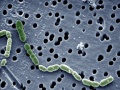 Thumbnail for version as of 14:53, 21 March 2011