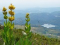 Thumbnail for version as of 13:00, 28 March 2013