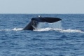Thumbnail for version as of 14:22, 21 December 2010