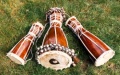 Thumbnail for version as of 00:58, 18 June 2009