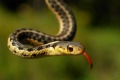 Thumbnail for version as of 17:08, 28 May 2012