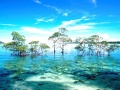 Thumbnail for version as of 18:59, 5 June 2012