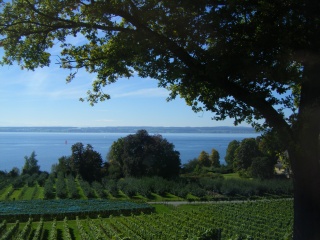 File:Lac de Constance.jpg