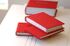 Pile livres rouges.jpg