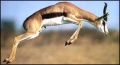 Thumbnail for version as of 15:47, 30 July 2009