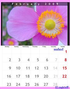 Calendrier février 2009-6278.jpg