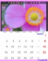 Thumbnail for version as of 20:29, 24 October 2009