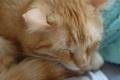 Thumbnail for version as of 19:05, 23 July 2012