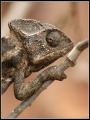 Thumbnail for version as of 17:43, 14 March 2010