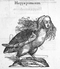 File:Harpies.jpg
