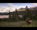 Thumbnail for version as of 10:17, 7 October 2012