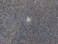 Thumbnail for version as of 17:24, 17 October 2013