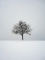 Thumbnail for version as of 22:54, 8 February 2012