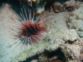Thumbnail for version as of 13:25, 28 March 2011