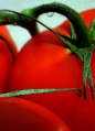 Thumbnail for version as of 02:14, 13 November 2008