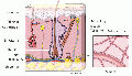 Thumbnail for version as of 07:22, 8 April 2014