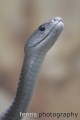 Thumbnail for version as of 17:50, 2 January 2012