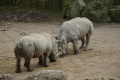 Thumbnail for version as of 16:28, 16 December 2009
