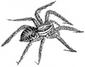 Thumbnail for version as of 00:18, 4 May 2010