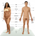 Thumbnail for version as of 14:16, 20 March 2015