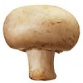 Thumbnail for version as of 10:15, 24 July 2014