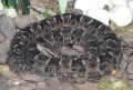 Thumbnail for version as of 21:27, 9 September 2012