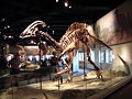 Thumbnail for version as of 10:14, 19 September 2009