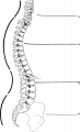 Thumbnail for version as of 18:43, 23 November 2012