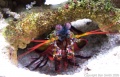 Thumbnail for version as of 20:33, 25 June 2011