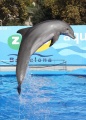 Thumbnail for version as of 16:33, 24 December 2011