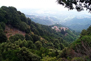 File:Garrigue.jpg