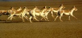 Thumbnail for version as of 18:10, 21 June 2012