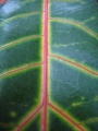 Thumbnail for version as of 19:18, 6 June 2013