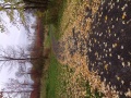 Thumbnail for version as of 17:27, 17 October 2013