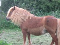 Thumbnail for version as of 16:26, 24 September 2010