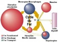 Thumbnail for version as of 09:40, 27 January 2009