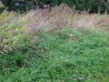 Thumbnail for version as of 00:00, 27 October 2013
