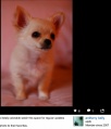 Thumbnail for version as of 09:55, 11 November 2013