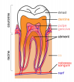 Thumbnail for version as of 17:34, 19 May 2009
