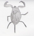 Thumbnail for version as of 13:54, 15 December 2008