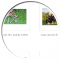 Thumbnail for version as of 13:36, 7 May 2014