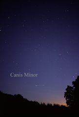 File:CanisMinorCC.jpg