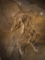 Thumbnail for version as of 12:55, 18 May 2014